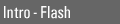 Intro - Flash